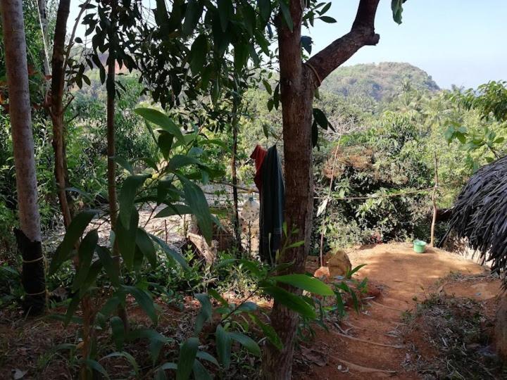 Bindhya Huts Apartment Gokarna  Luaran gambar